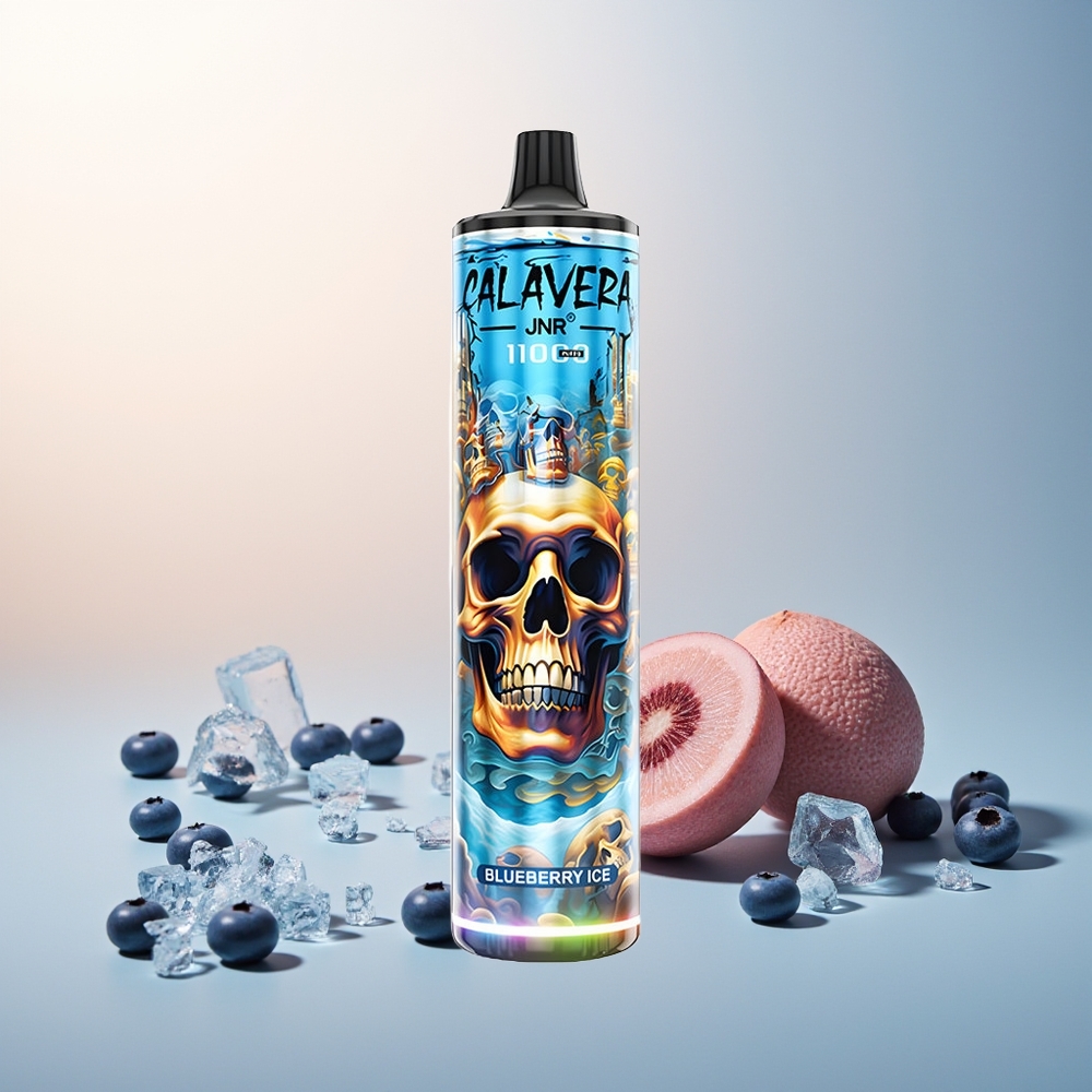 JNR Calavera 11000 Puff Type-C 850mAh 21ml 1.0ohm Mesh Mavi Yaban Mersini Buz