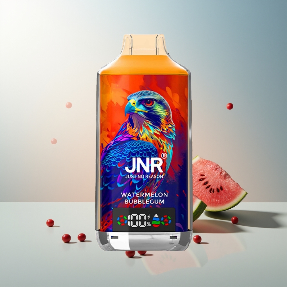 JNR Falcon X 18000 Puf Dijital Ekran Çift Mesh Çekirdek Type-C Hızlı Şarj 750mAh 24ml Karpuzlu Sakız Aromalı