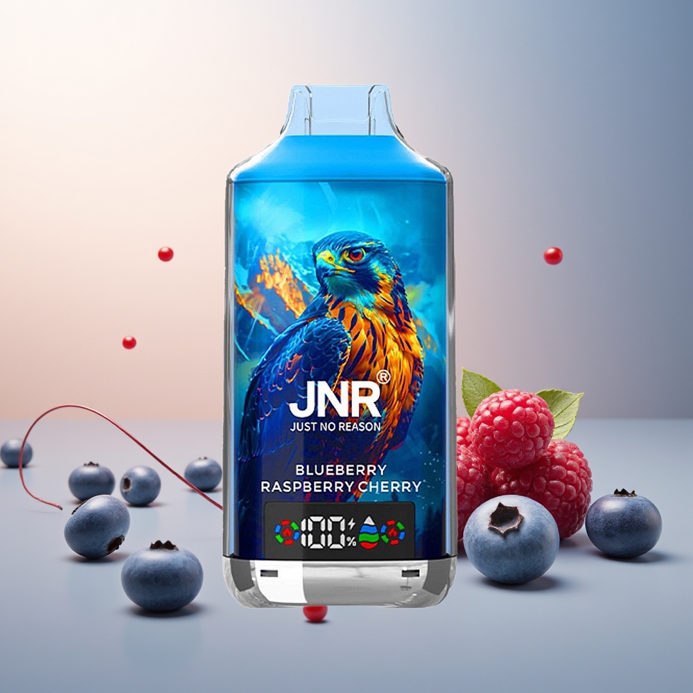 JNR Falcon X 18000 Puf Dual Mesh Çift Çekirdek Dijital Ekran Type-C Hızlı Şarj Mavi Böğürtlen Ahududu Kiraz