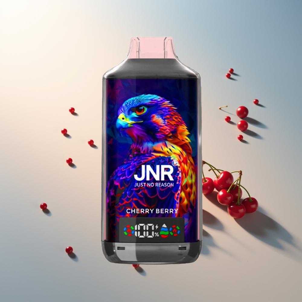 JNR Falcon X 18000 Puff 750mAh 24ml Çift Mesh Çift Çekirdek Dijital Ekran Type-C Hızlı Şarj Vişne Böğürtlen