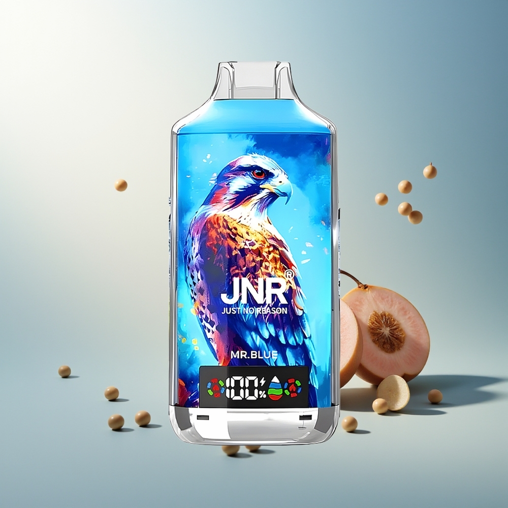 JNR Falcon X 18000 Puff 750mAh 24ml Çift Mesh Çift Çekirdek Dijital Ekran Type-C Şarj 0%2%5% Bay Mavi