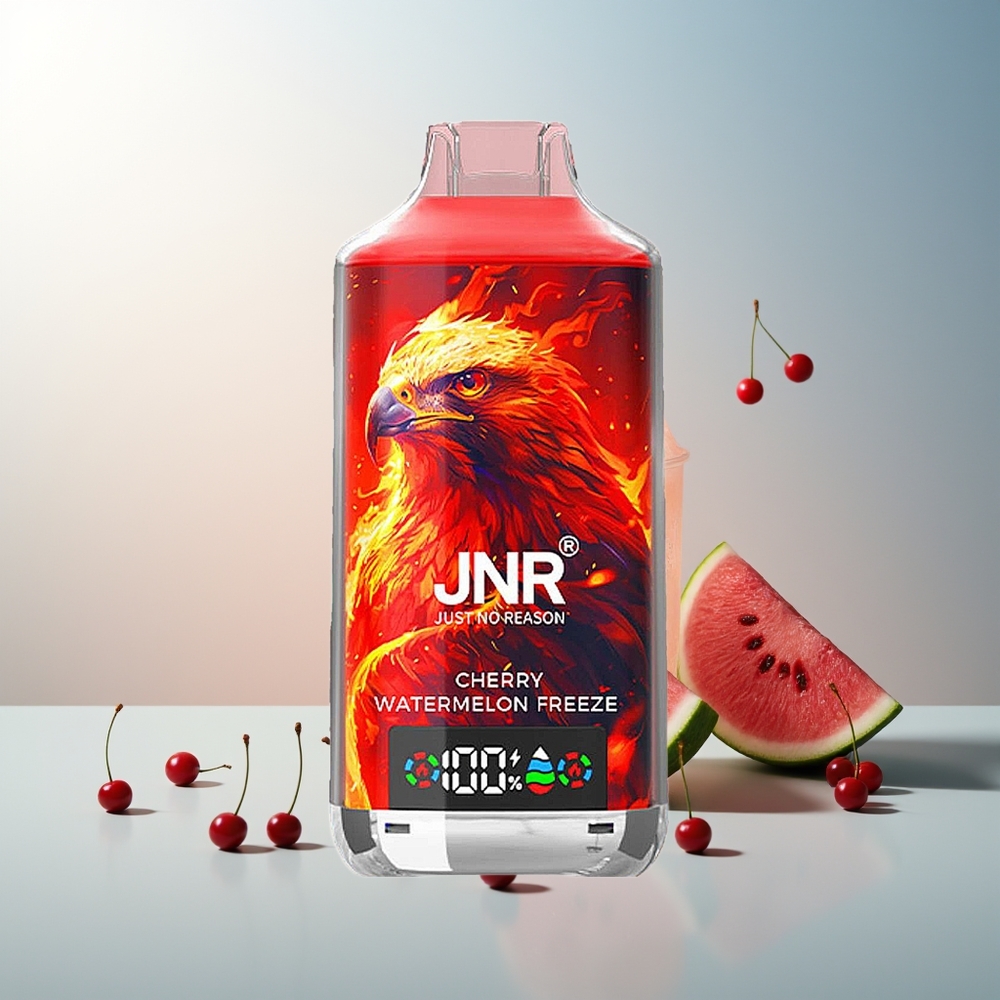 JNR Falcon X 18000 Puff 750mAh 24ml Çift Mesh Çift Çekirdek Dijital Ekran Type-C Şeftali Karpuz Buzu