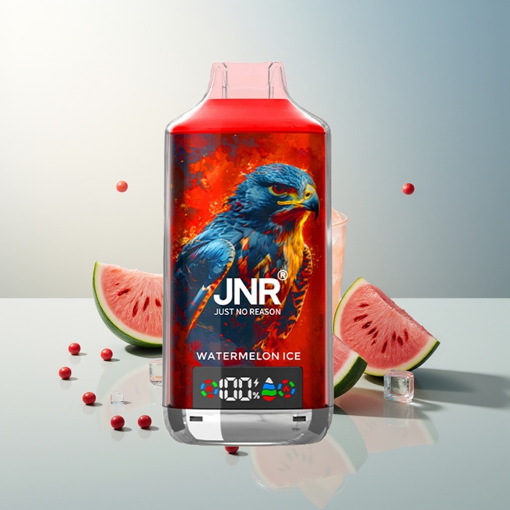 JNR Falcon X 18000 Puff Dijital Ekran Çift Mesh Çift Çekirdek Type-C Hızlı Şarj Karpuz Buz