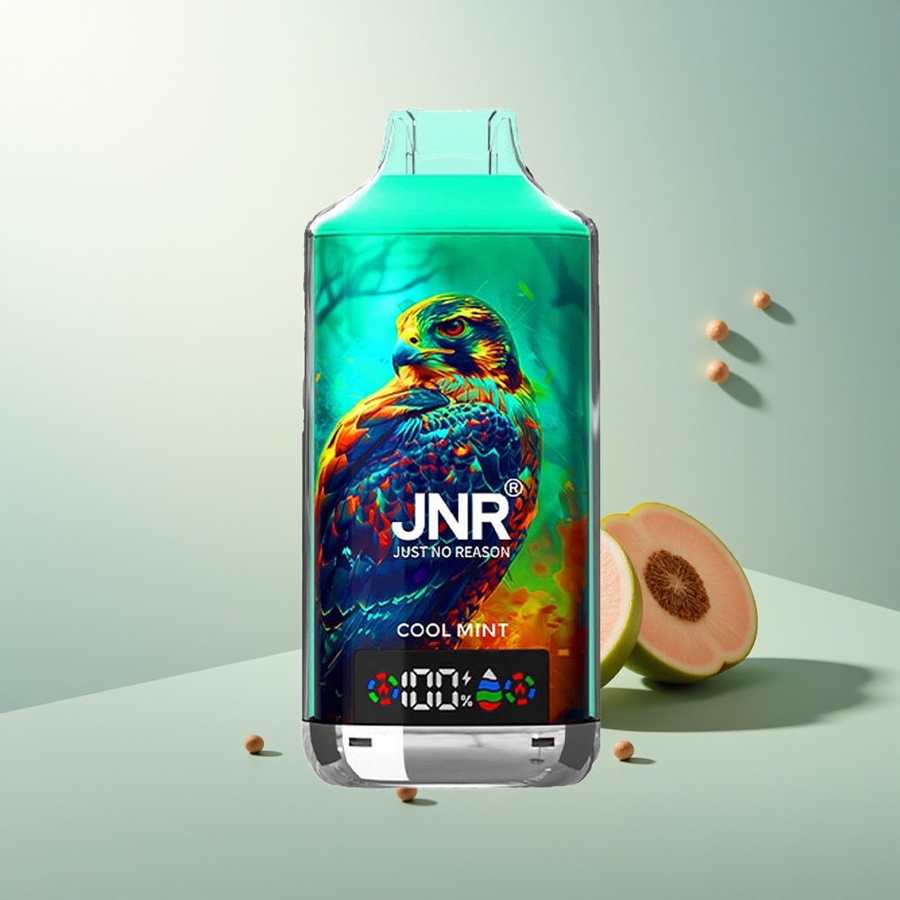 JNR Falcon X 18000 Puff Çift Mesh Çift Çekirdek 24ml 750mAh Type-C Hızlı Şarj Serin Nane