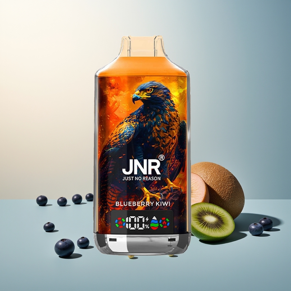 JNR Falcon X 18000 Pufluk Dijital Ekran Çift Örgülü Çekirdek Type-C Hızlı Şarj 24ml Yaban Mersini Kivi