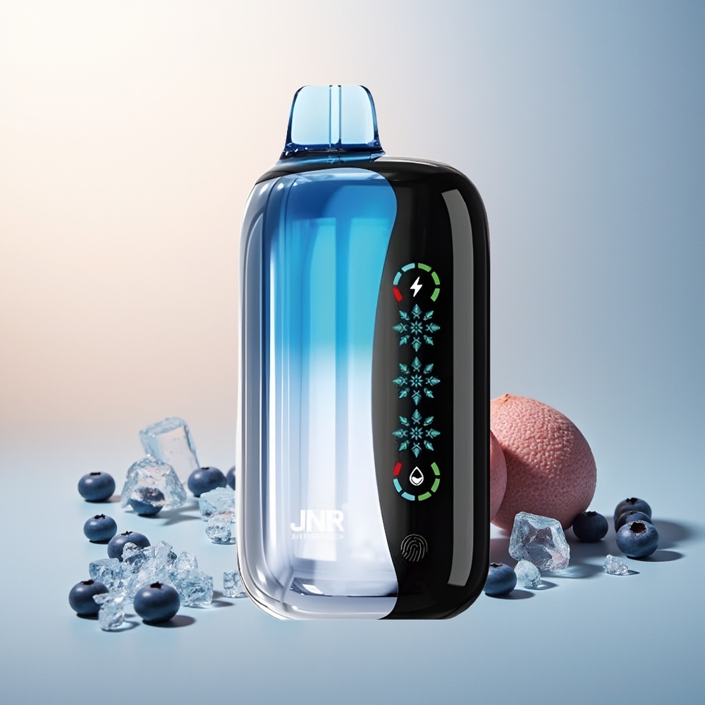 JNR Flex Ice 21000 Puff Ayarlanabilir Buz Dokunmatik Ekran Yaban Mersini Buz