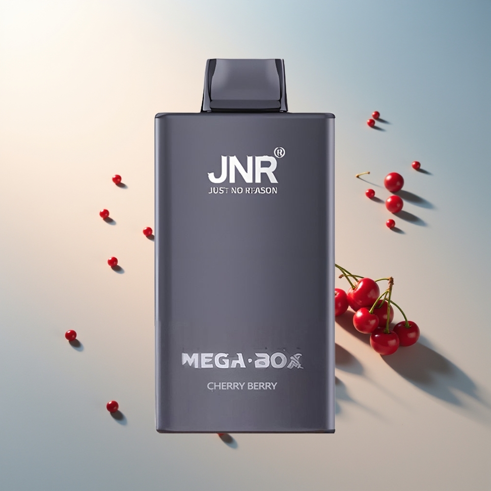 JNR Mega Box 25000 Püf Çift Mesh Hızlı Şarj Vişne Böğürtlen