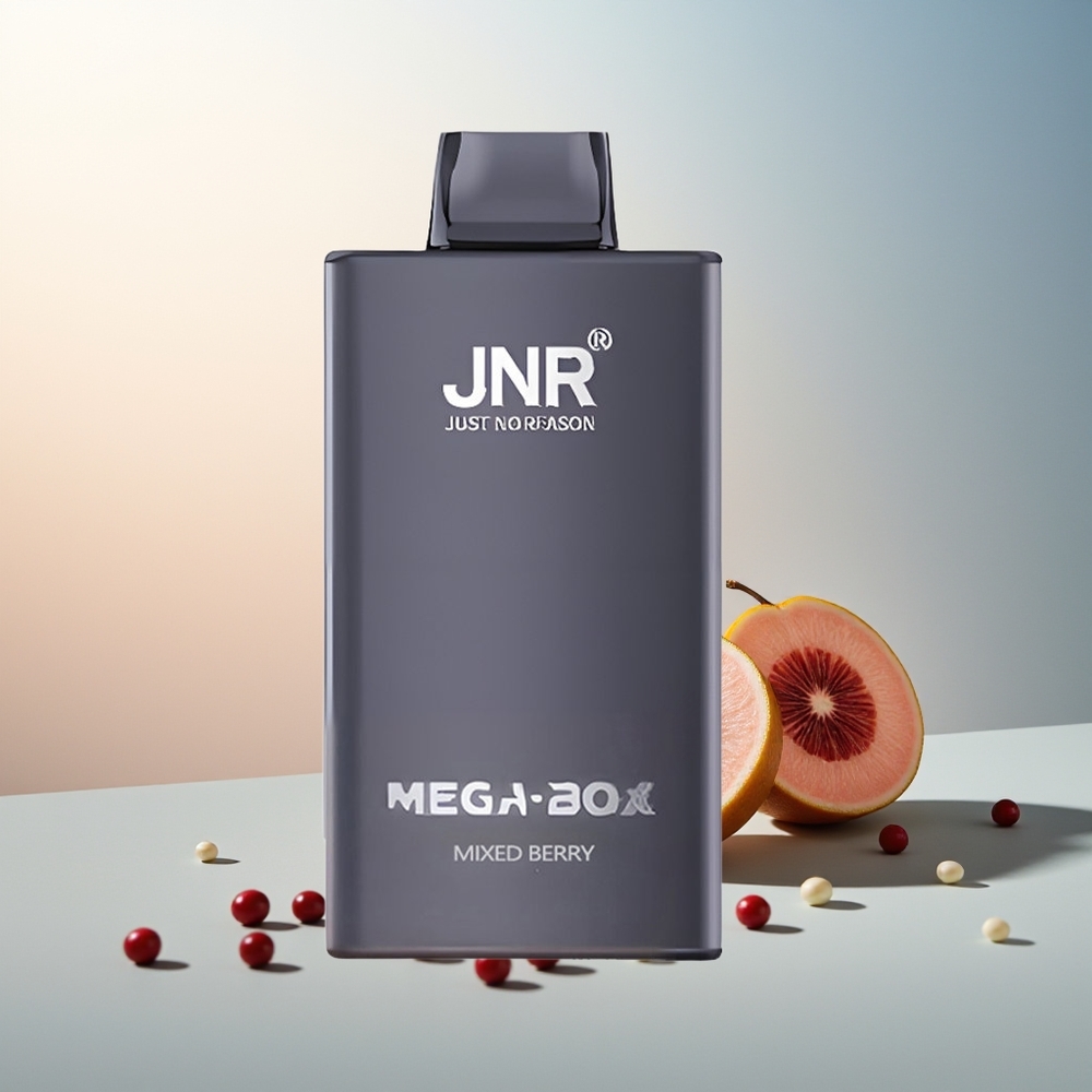 JNR Mega Box 25000 Püf Çift Mesh Çift Çekirdek Hızlı Şarj Karışık Meyve
