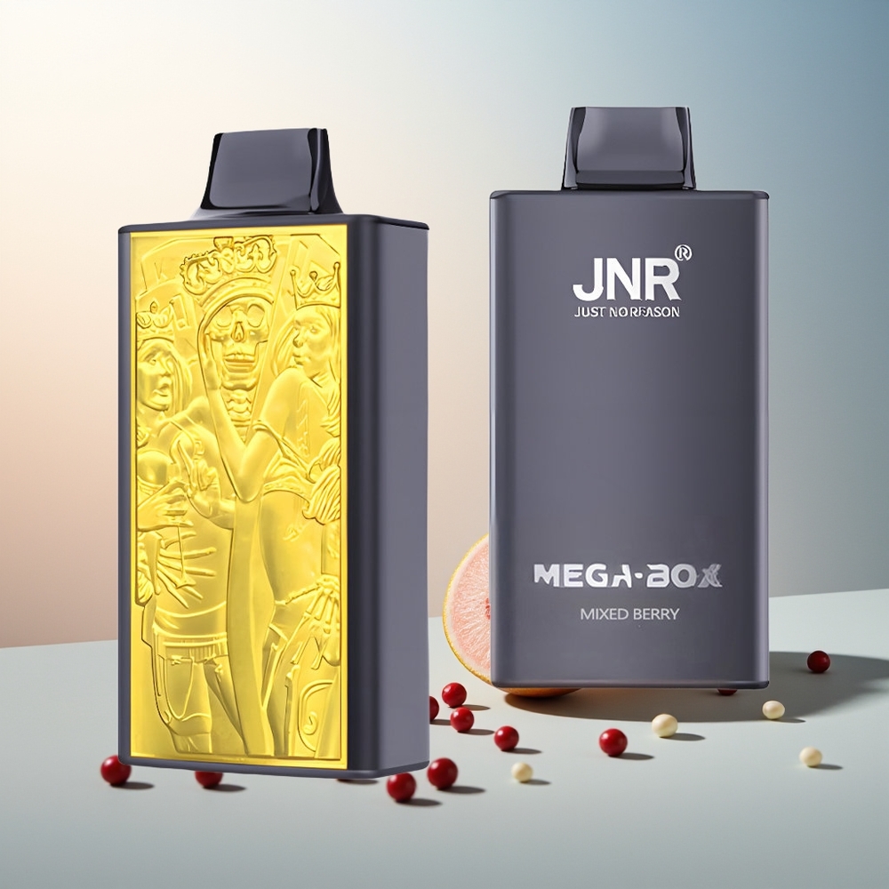JNR Mega Box 25000 Püf Çift Mesh Çift Çekirdek Hızlı Şarj Karışık Meyve