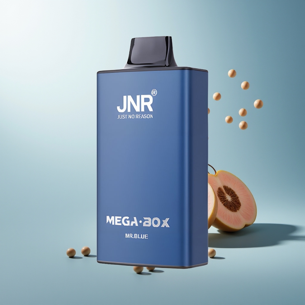 JNR Mega Box 25000 Püf Çift Örgülü Çift Çekirdek Tip-C Hızlı Şarj Bay Mavi