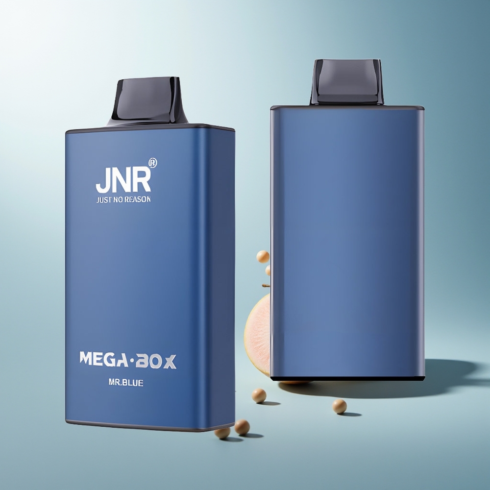 JNR Mega Box 25000 Püf Çift Örgülü Çift Çekirdek Tip-C Hızlı Şarj Bay Mavi