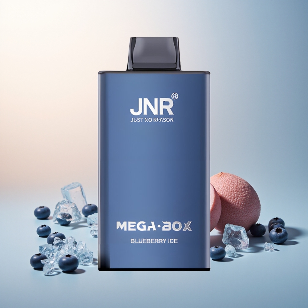 JNR Mega Box 25000 Puff Çift Mesh Çekirdek Hızlı Şarj Yaban Mersini Buz
