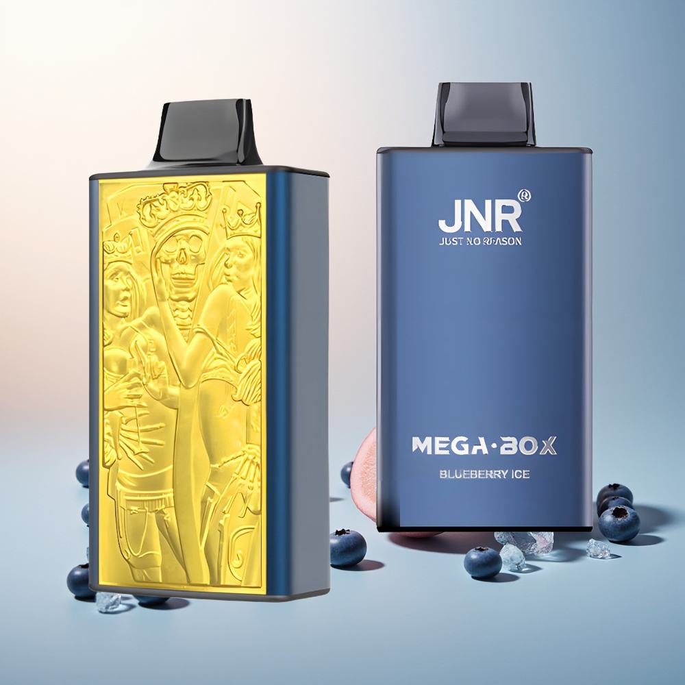 JNR Mega Box 25000 Puff Çift Mesh Çekirdek Hızlı Şarj Yaban Mersini Buz