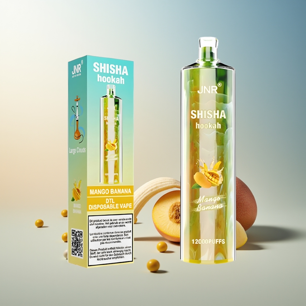 JNR Shisha Hookah 12000 Puff 750mAh Type-C Mango Muz