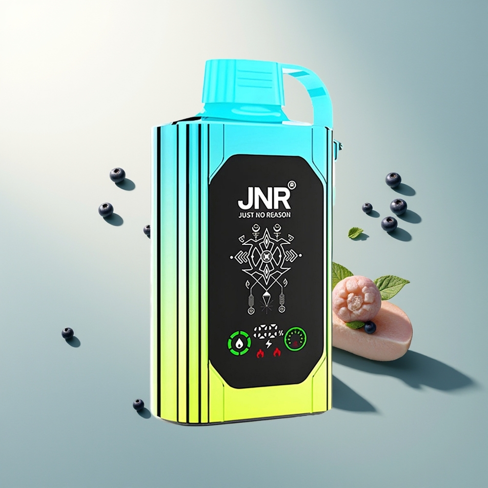 JNR Shisha Hookah Box 20500 Puff HD Ekran 1000mAh Çift Mesh Çekirdekli Type-C Şarj 25ml Yaban Mersini Naneli