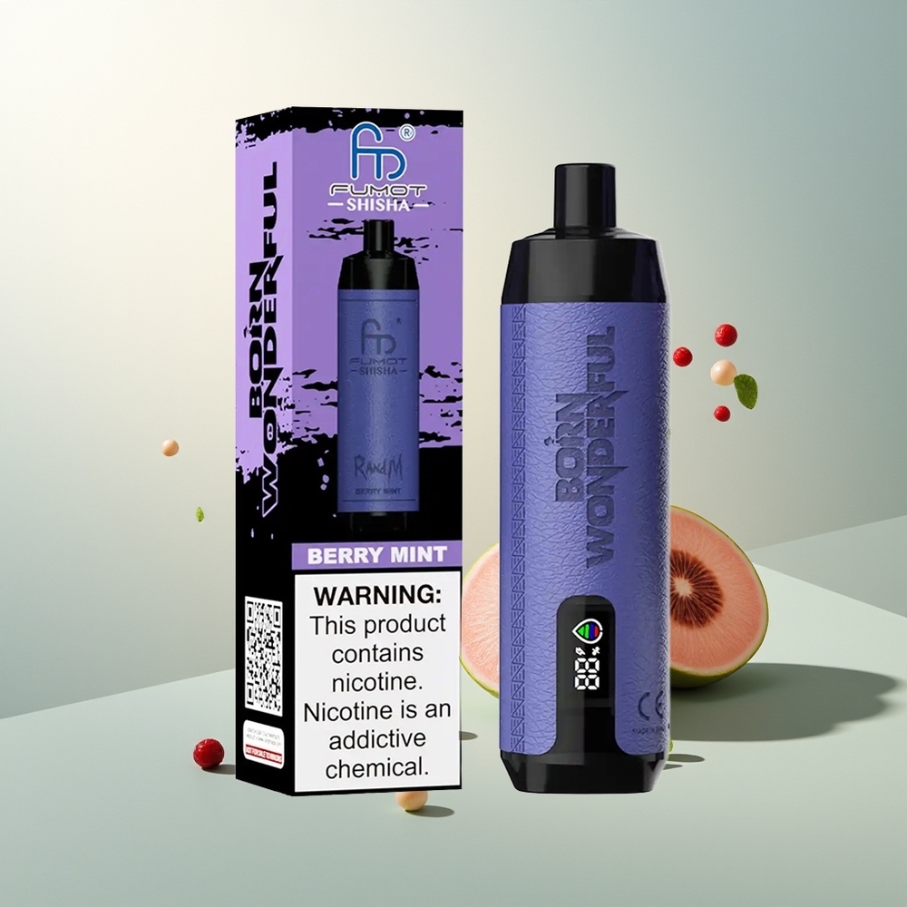 RandM Fumot Shisha 10000 Püf LED Gösterge 18ml Önceden Doldurulmuş Type-C Port Meyan Nanesi Aroması